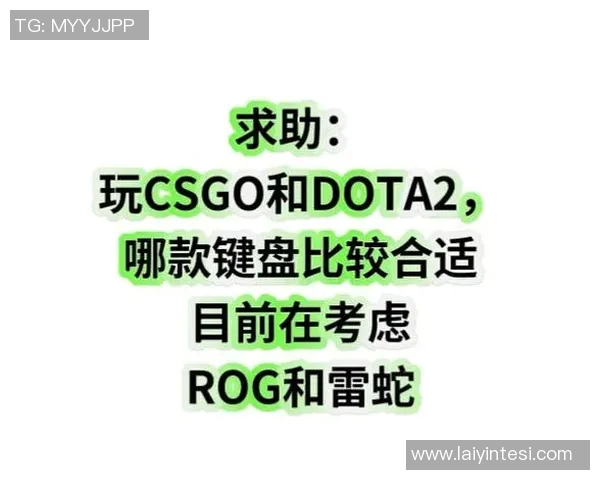 DOTA2装备选购必备键盘推荐助你提升游戏体验与操作水平